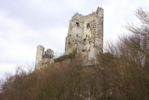 Burg Drachenfels